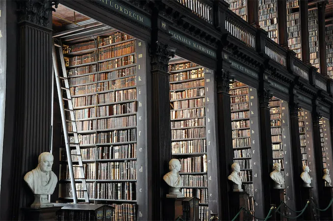 Une rangée de bibliothèques remplies de livres colorés, créant une ambiance chaleureuse et accueillante.