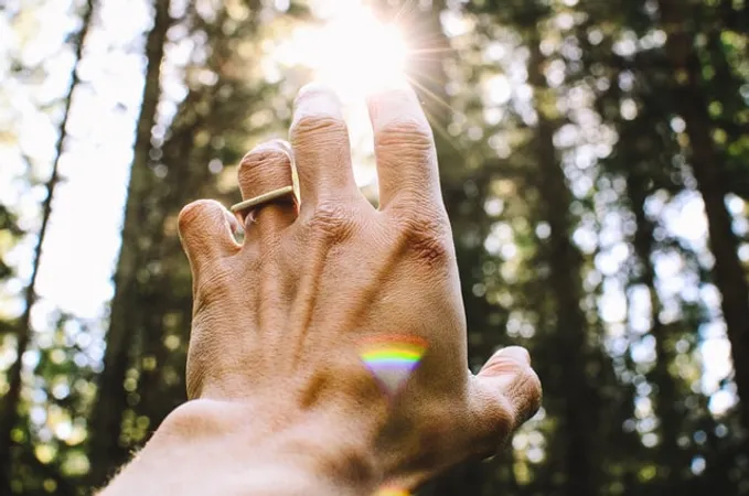 Main d'une personne tendue vers le soleil, symbolisant l'espoir et la connexion avec la nature.